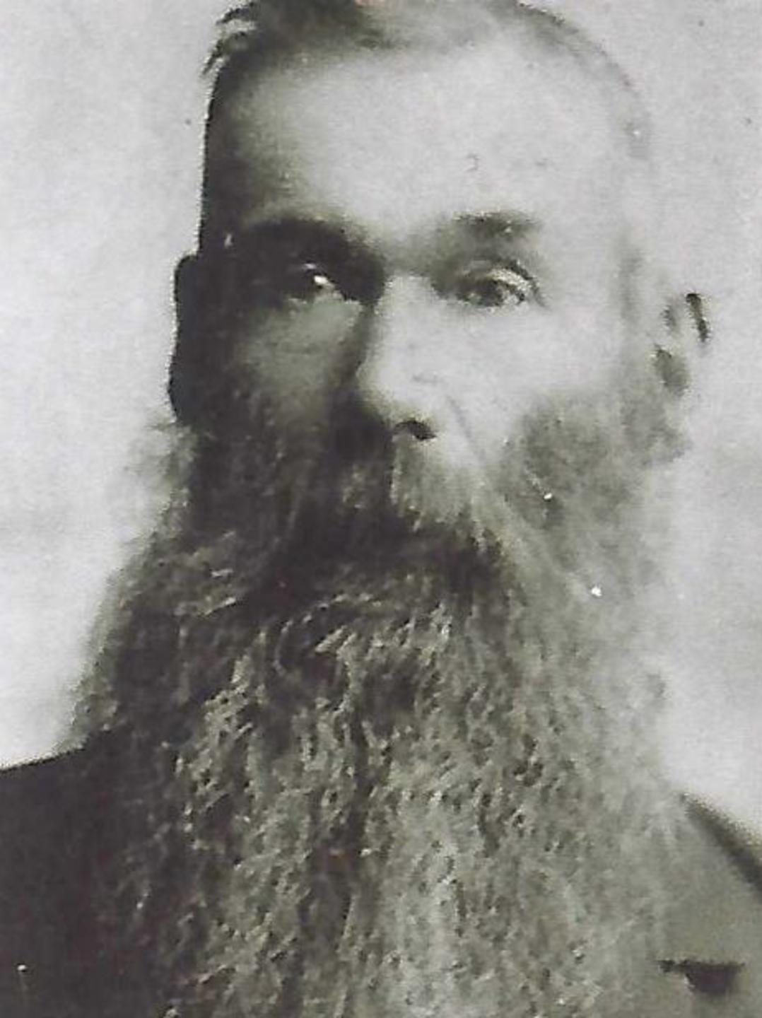 William Henry Johnson (1839 - 1911) Profile